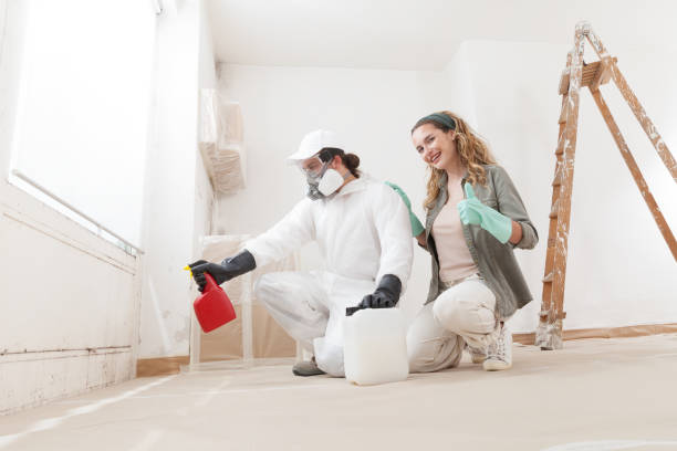Best Mold Remediation for Healthcare Facilities  in Littleton Common, MA